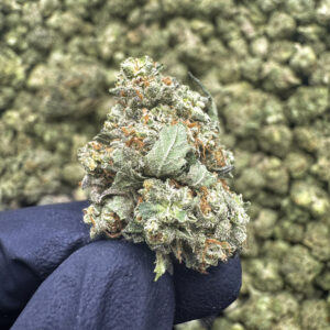 Cherry Zaza – Indica THCA Flower 36.30%