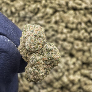 Orange Slushie – Indica THCA Flower 37.64%