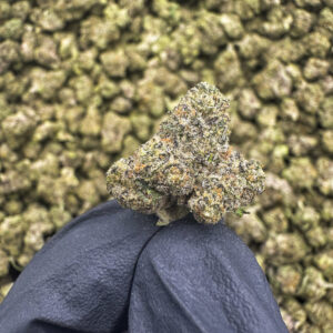 Pink Drink – Hybrid THCA Flower 33.56%