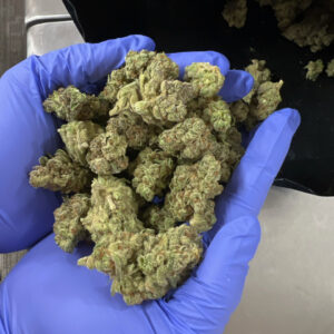 MyStache Blue Dream Snow Cap – Sativa THCA Flower 59.05%