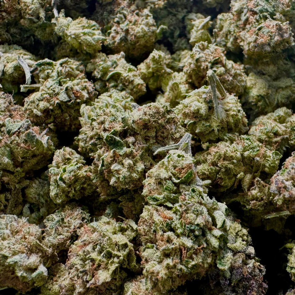 MyStache Strawberry Cough – Sativa THCA Flower 33.19%
